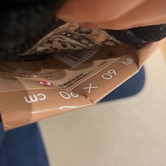 インテリア　マット　玄関マットの画像