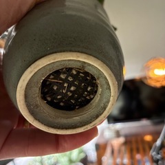 アガベ　鬼爪（ピカチュウ）　鉢付きの画像