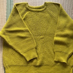 1月で処分　セーター他　8着の画像