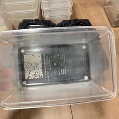 むしかご29個セットの画像