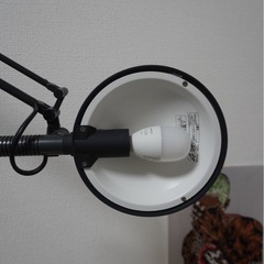 おしゃれ　間接照明の画像