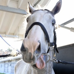 馬好き　競馬好き集まれぇ