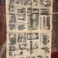 激レア新聞　　24ページの画像