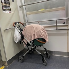 ペットバギーの画像