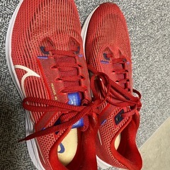 NIKE  ランニングシューズペガサス40 26cmの画像