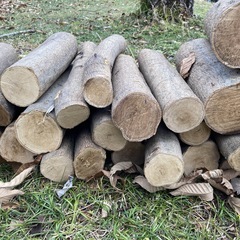 薪　生木の画像