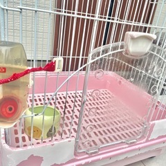 うさぎ ケージ
の画像
