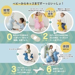 ロディ　(黄色)の画像