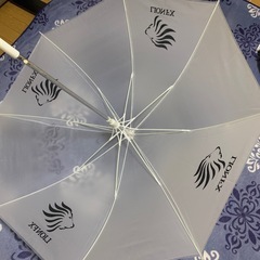 ビニール大きめ傘の画像