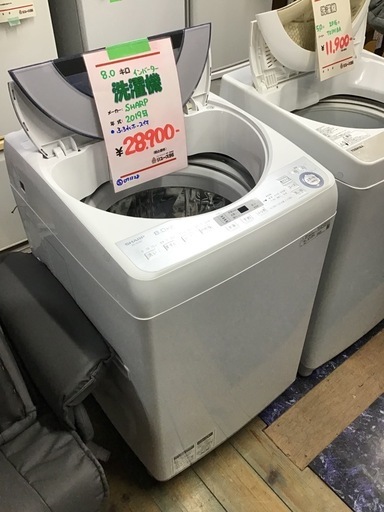 ●販売終了●SHARP     8.0k洗濯機　2019年製　インバーター　ふろ水ホース付き　中古品