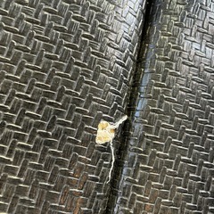 ハイエース　ベッドキットの画像