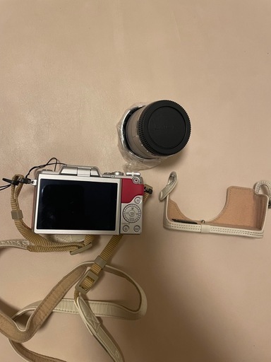 一眼レフ　パナソニックLUMIX DMC-GF7W 　