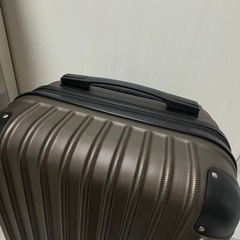 機内持ち込みサイズ　スーツケース　買い物カートの画像