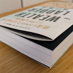 富の階段（THE WEALTH LADDER）の画像