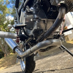 モンキーの画像