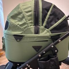 エアーバギーフォードックの画像