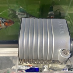 観賞魚飼育セットの画像