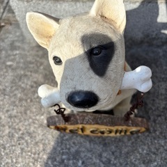 （お渡し決定）ウェルカムドッグ　ブルテリアの画像