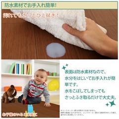 ホットカーペット（ラグ不要/1.5畳）
の画像