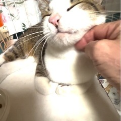 走って追いかけるくらい人が大好き、だから、「かけるくん