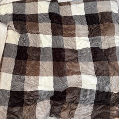 カーペット、こたつ布団の画像