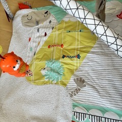 FisherPriceパーフェクトセンスデラックスジムの画像