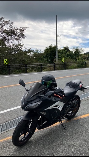 【最終値】Ninja 250EX型　2014-