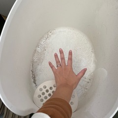 《中古》リッチェル 猫トイレの画像