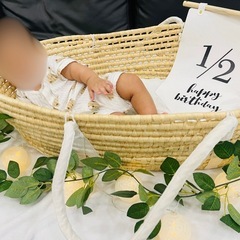 PUPPAPUPO プッパプーポ クーファン クーハン ベビーバスケット 布団 枕 シェード付き     の画像