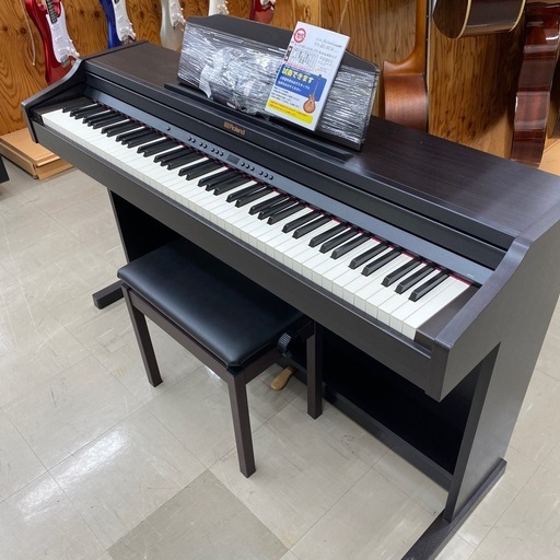Roland  RP-501R       
