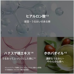 VTリードルS リッププランパー ビギナーの画像