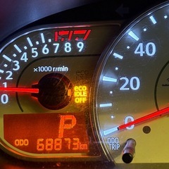 期間限定です！1週間ムーブコンテの画像