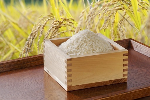 農家のお米！直売　　キヌムスメ　玄米30kg