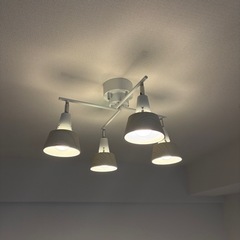 【決まりました】シーリングライト 4灯  電球付き   木目の画像