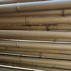 プラ製竹材の画像