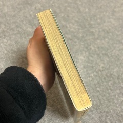 デュエット 1の画像