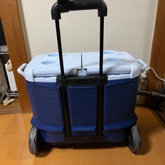 確定Woolrich クーラーボックス ネイビーの画像