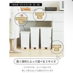 【終了】 45Lゴミ箱　2個の画像