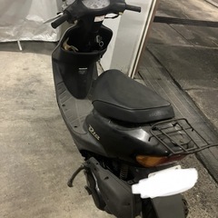 HONDA ライブディオの画像