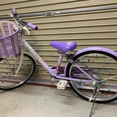 BRIDGESTONE エコパル　20インチの画像