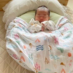 sangoくっしょんの画像