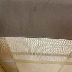 ココネルエアーの画像