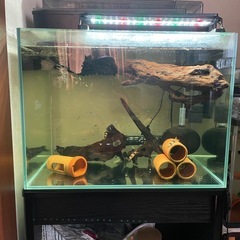 上部濾過フィルター2点(グランデ600）、ろ材、600✖️450水槽（おまけ）の画像