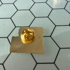 梅田スカイビル 空中庭園 公式ピンズ（新品）の画像