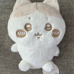 ハチワレセットの画像