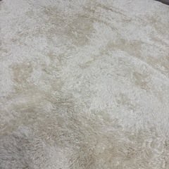 カーペットの画像