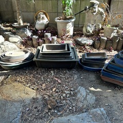 盆栽　　四角の植木鉢の画像