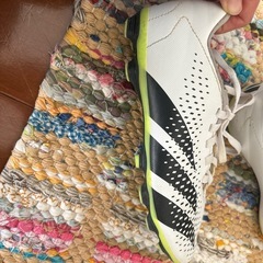 スパイク
の画像