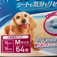 デオシートキレイパットMサイズ新品未開封の画像