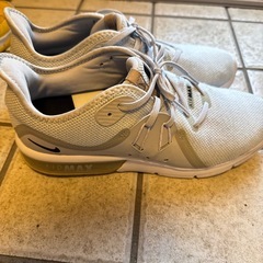 28センチNIKE AIR MAX SEQUENT3の画像